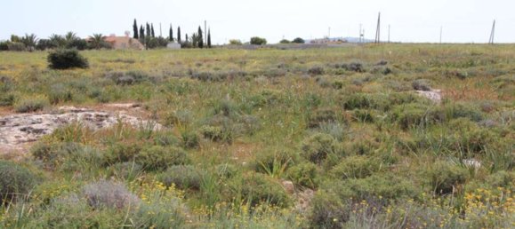  Land in Protaras, Cyprus No. 24074 9