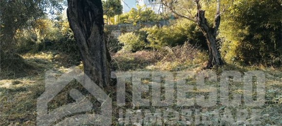 4غرفة منزل في San Salvatore Telesino, Italy رقم 301657 3