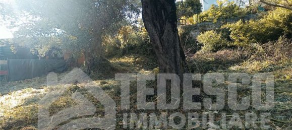 4غرفة منزل في San Salvatore Telesino, Italy رقم 301657 4