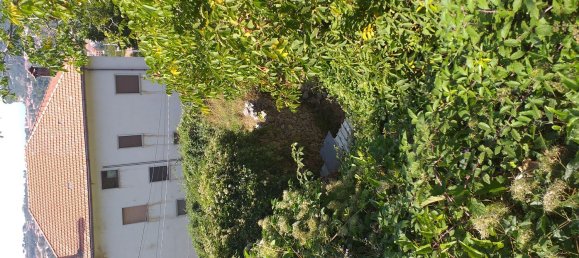 Estudio en Agerola, Italy No. 255392 7