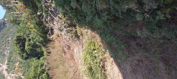 Estudio en Agerola, Italy No. 255392 8