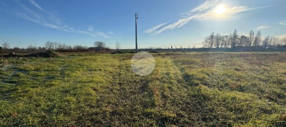 7 rooms Villa in Vigonza, Italy No. 3092 5