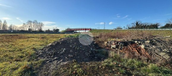 7 rooms Villa in Vigonza, Italy No. 3092 4