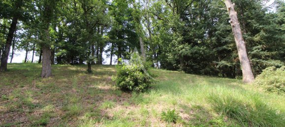 3 Schlafzimmer Haus in Loir-et-Cher, France, Nr. 257888 8