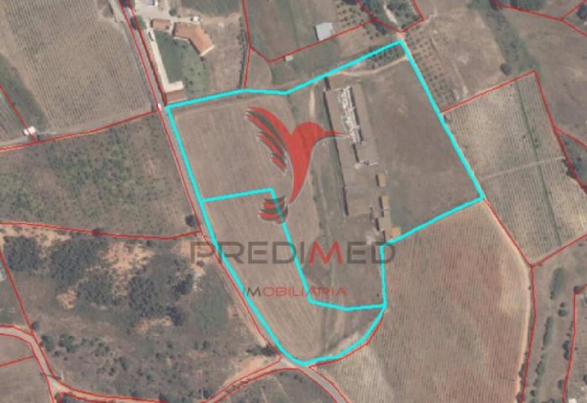 Grundstück in Palmela, Portugal 400m², Nr. 9053