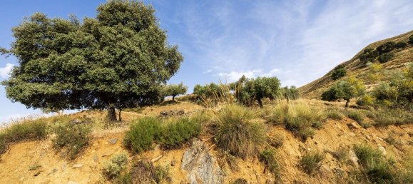 Terreno em Sierra Nevada, Spain N.º 149742 4