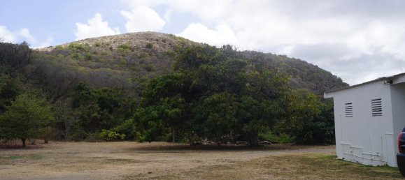 4 غرف نوم فيلا في Basseterre, Saint Kitts and Nevis رقم 21 16