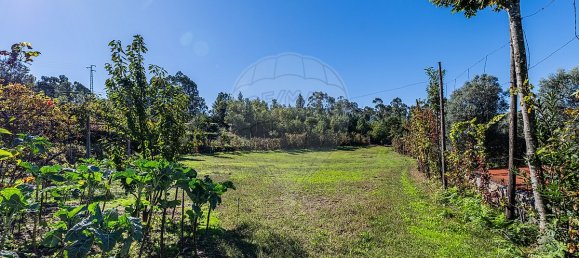 4 bedrooms House in Guilhofrei, Portugal No. 39748 27