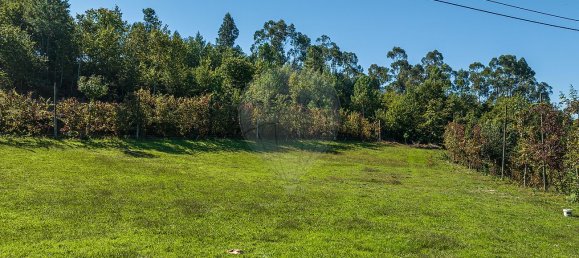 4 bedrooms House in Guilhofrei, Portugal No. 39748 28