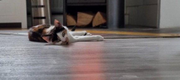 3 bedrooms House in Hohenlohe, Germany No. 261111 4