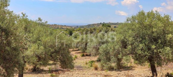 34800m² Land in Avola, Italy No. 156527 8