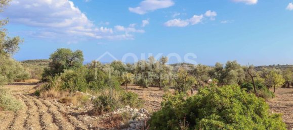 34800m² Land in Avola, Italy No. 156527 3