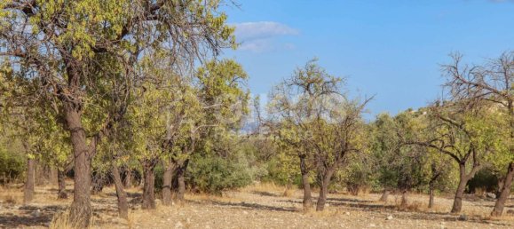 34800m² Land in Avola, Italy No. 156527 12