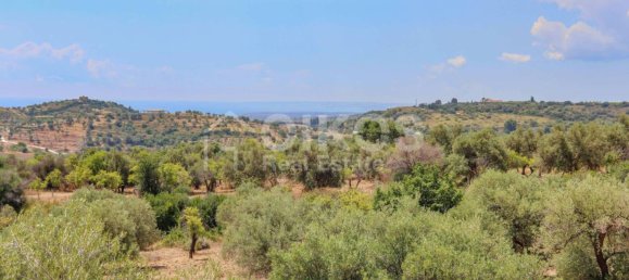 34800m² Land in Avola, Italy No. 156527 6