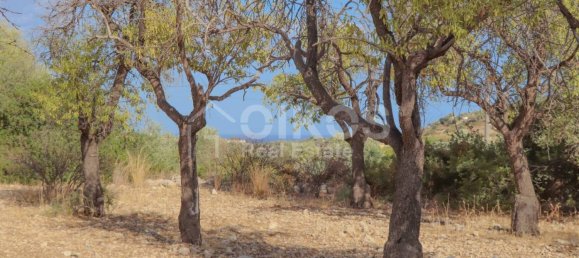 34800m² Land in Avola, Italy No. 156527 11