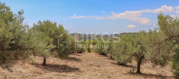 34800m² Land in Avola, Italy No. 156527 10