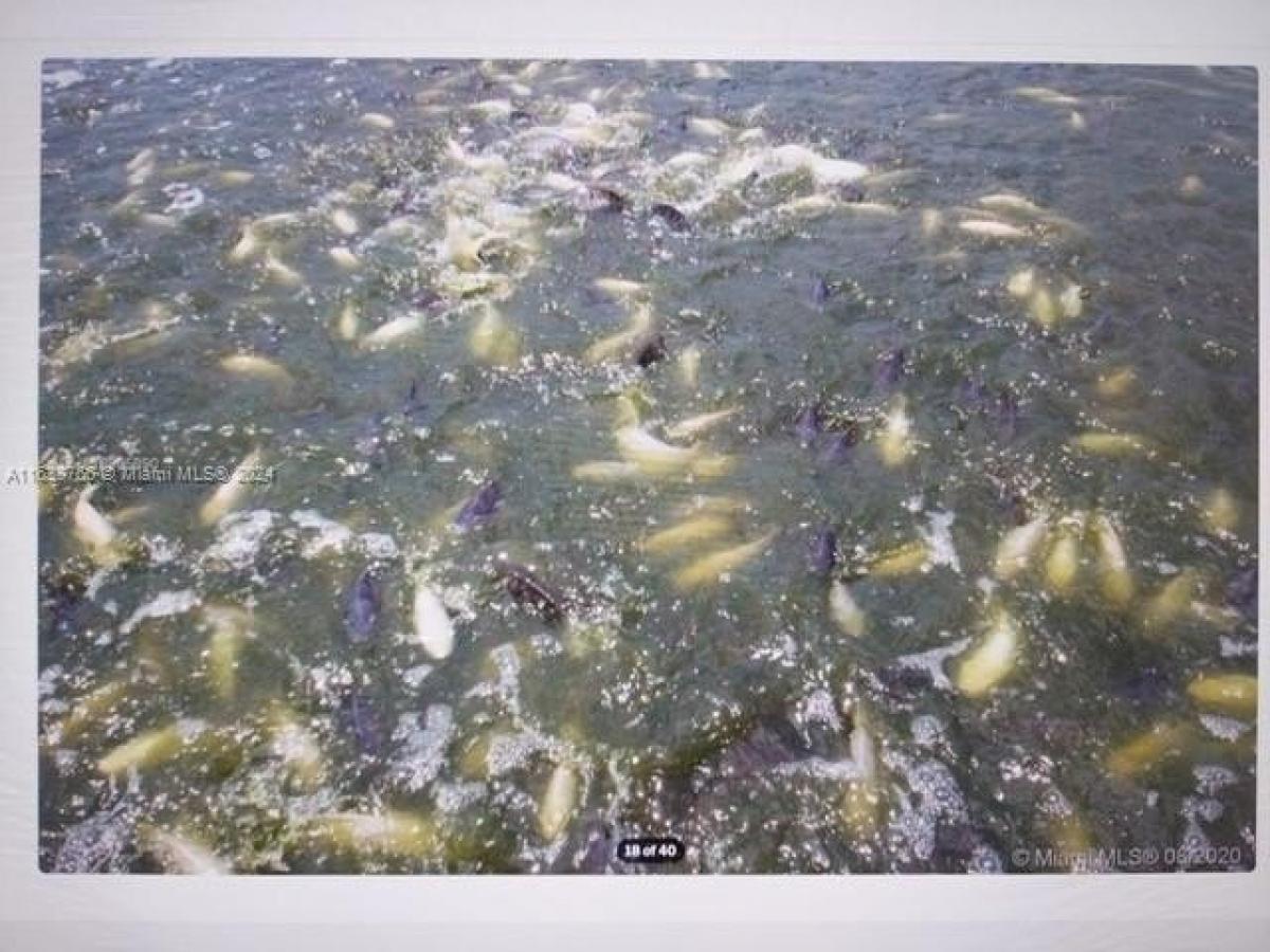 Terreno en Clewiston, USA No. 506237