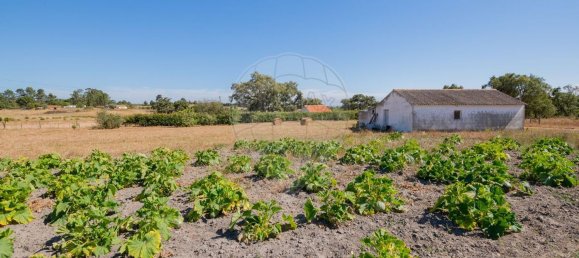 3 Schlafzimmer Haus in Sao Luis, Portugal, Nr. 62669 19