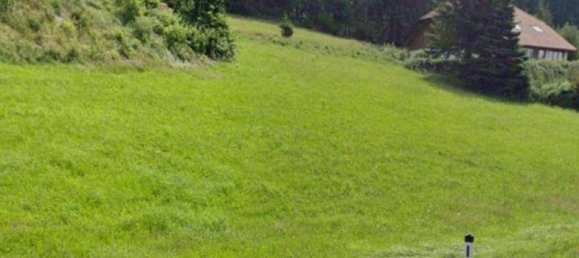 Terreno em St. Johann am Wimberg, Austria 764 m² N.º 215759 3