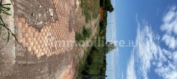 Terrain à Cavarzere, Italy 8660m² No. 263125 6