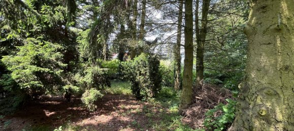 Дом с 3 спальнями в Markisch-Oderland, Германия № 18315 4