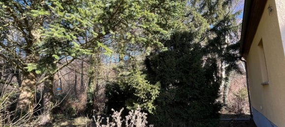 Дом с 3 спальнями в Markisch-Oderland, Германия № 18315 3