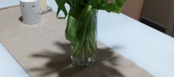 5 rooms Duplex in Canelli, Italy No. 168945 32