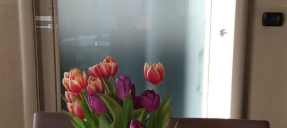 5 rooms Duplex in Canelli, Italy No. 168945 43