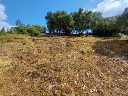 Grundstück in Sintra, Portugal, Nr. 57214