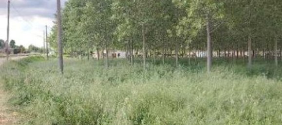  قطعة أرض في Lendinara, Italy 23251متر مربع رقم 341435 23