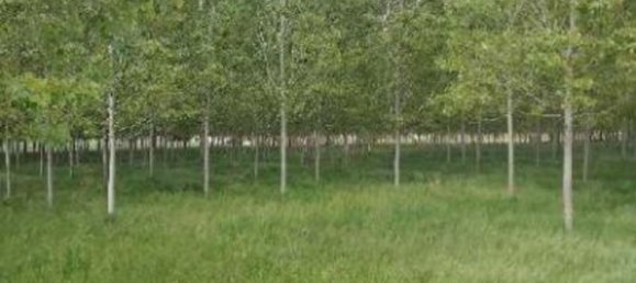  قطعة أرض في Lendinara, Italy 23251متر مربع رقم 341435 16