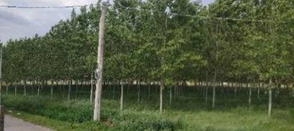  قطعة أرض في Lendinara, Italy 23251متر مربع رقم 341435 13