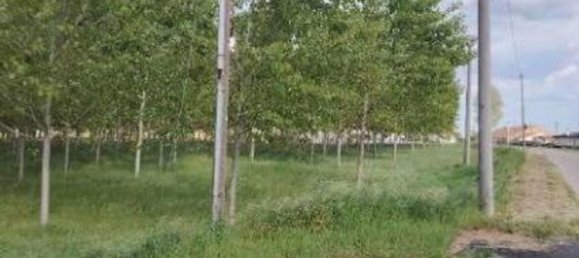  قطعة أرض في Lendinara, Italy 23251متر مربع رقم 341435 3