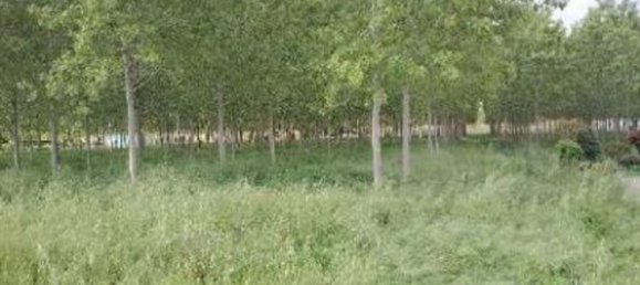  قطعة أرض في Lendinara, Italy 23251متر مربع رقم 341435 18