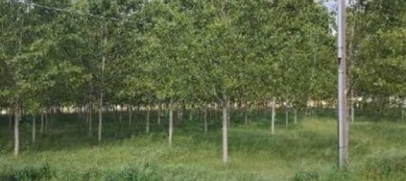  قطعة أرض في Lendinara, Italy 23251متر مربع رقم 341435 14