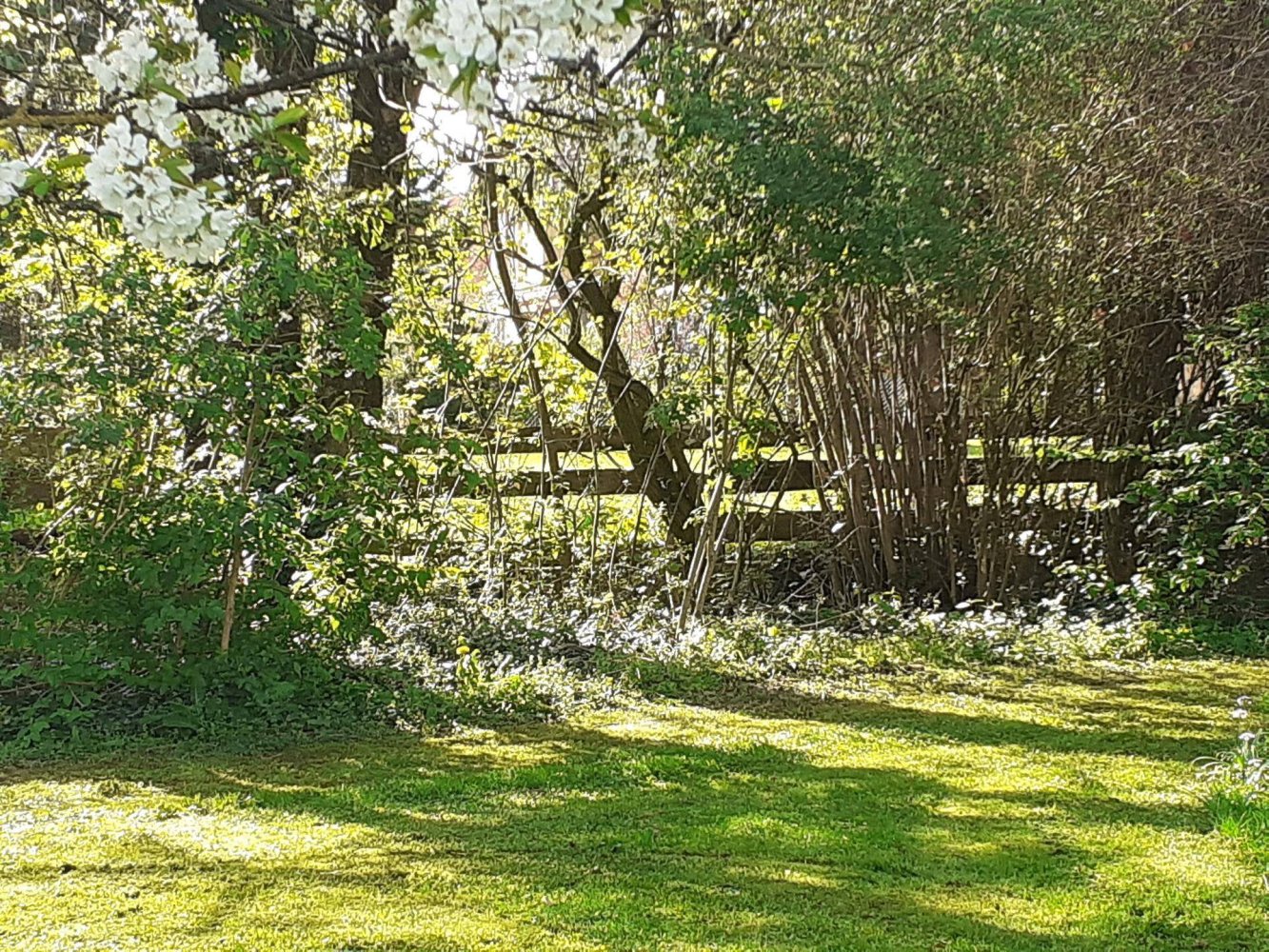 Grundstück in Krenglbach, Austria 777m², Nr. 162425