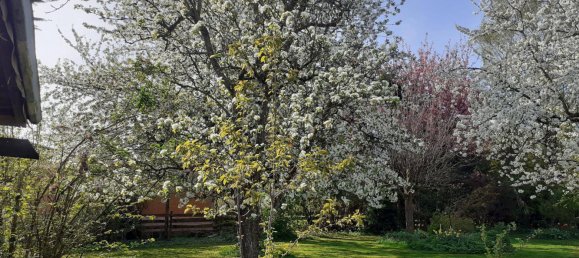 Grundstück in Krenglbach, Austria 777m², Nr. 162425 9