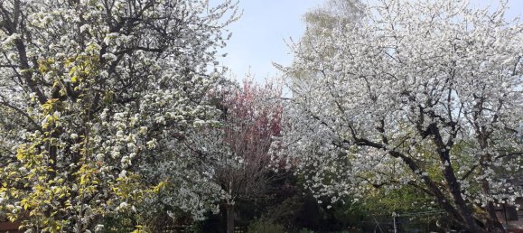 Grundstück in Krenglbach, Austria 777m², Nr. 162425 11