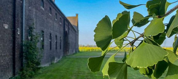 Apartamento T2 em Viersen, Germany N.º 121996 16