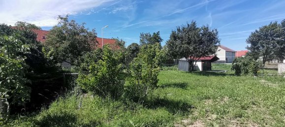 Terrain à Purbach am Neusiedler See, Austria No. 229517 4