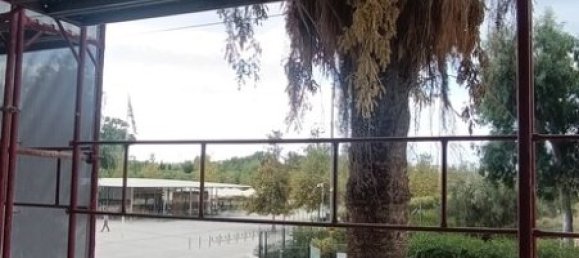 Квартира с 3 спальнями в Калитея, Греция № 56403 3