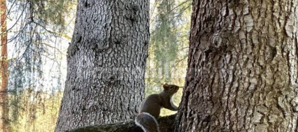 3 bedrooms Apartment in Basiglio, Italy No. 348596 20