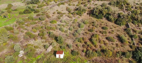 استوديو في Vila Franca de Xira, Portugal رقم 52683 21