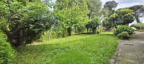 3 chambres Maison à Labico, Italy No. 313088 6