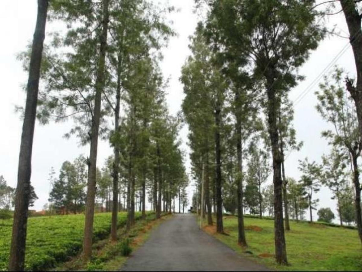 Grundstück in Tamil Nadu, India, Nr. 38323