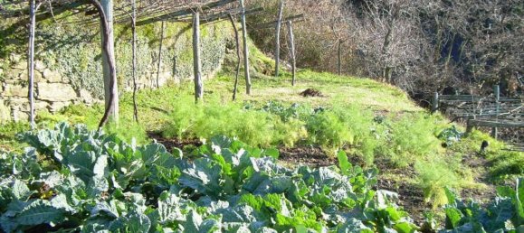 Casa de 2 divisões em Castelnuovo Magra, Italy N.º 254193 10