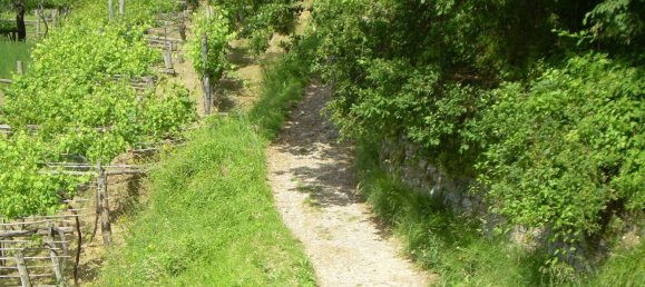 Casa de 2 divisões em Castelnuovo Magra, Italy N.º 254193 8