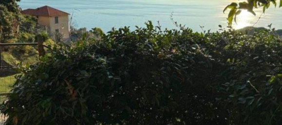 2 rooms Apartment in Pieve Ligure, Italy No. 33658 38