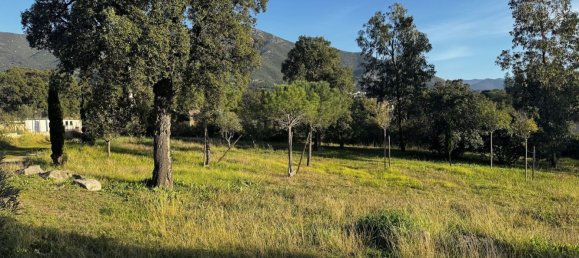 Terrain à Cuttoli-Corticchiato, France 1634m² No. 113757 2