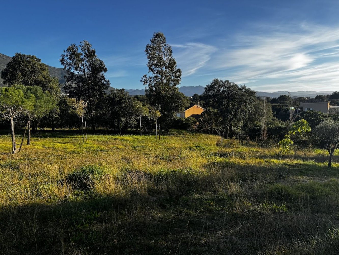 Terrain à Cuttoli-Corticchiato, France 1634m² No. 113757